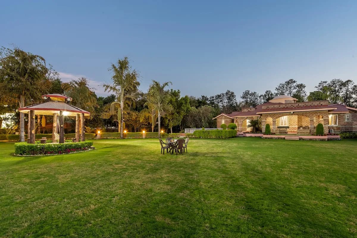 Garden and lawn
