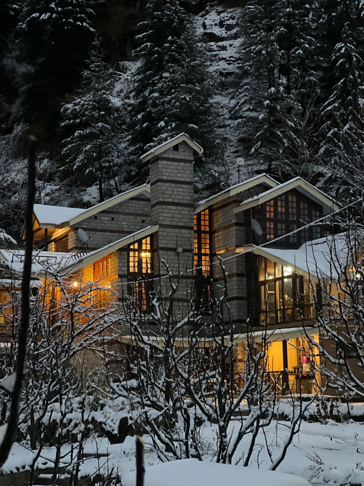 Into the wild Manali - 6Br Villa near Jogini Falls